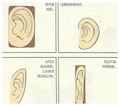 耳運年齡|耳相幾歲？深入解析耳相學的奧秘與年齡預測